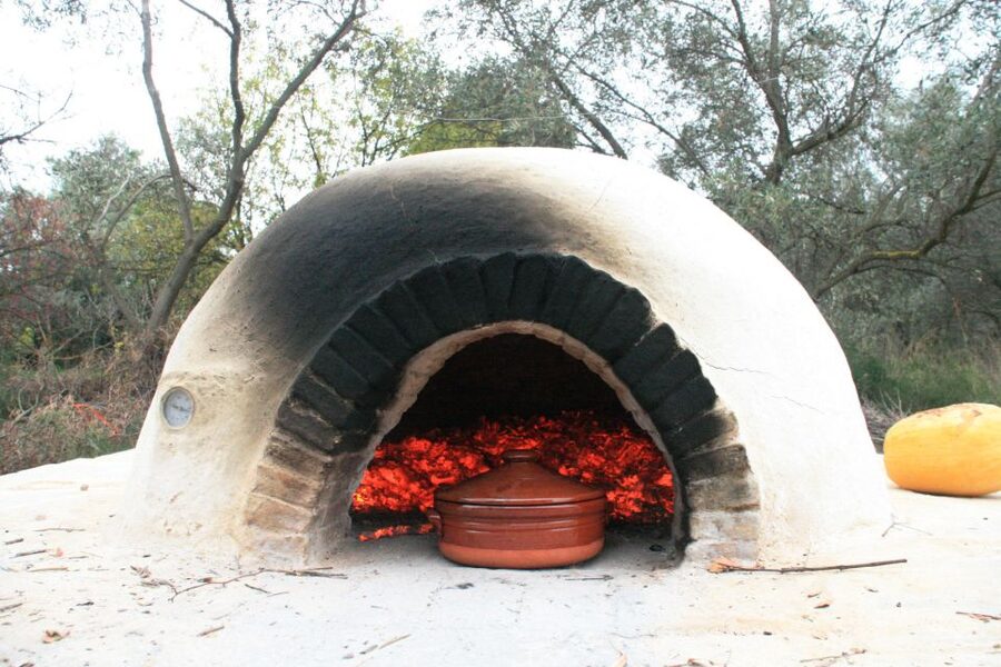 Corfu: Greek Cooking Class & Olive Oil Tasting - Who should book this Corfu cooking and olive oil experience