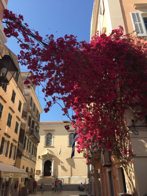 Corfu: History and Culture Walking Tour - Key things that make this Corfu walk worth your time