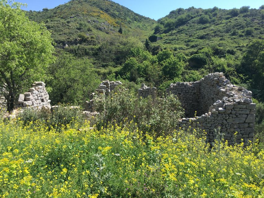 Corfu: Northwest Coast and Village Charms 4x4 Tour - Why This Northwest Corfu 4x4 Tour Feels Worth It