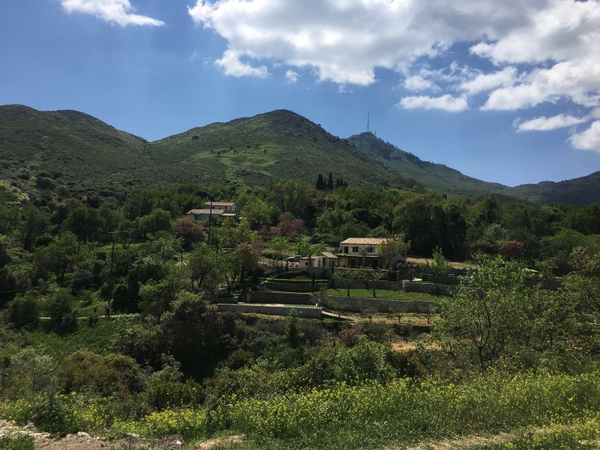 Corfu: Northwest Coast and Village Charms 4x4 Tour - Enotis Olive Oil Mill in Vistonas: Learning You Can Taste