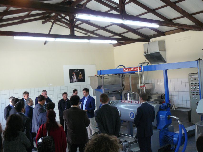 Corfu: Olive Oil Experience - The Governor's Olive Mill - Getting to The Governors Olive Mill (and why timing matters)