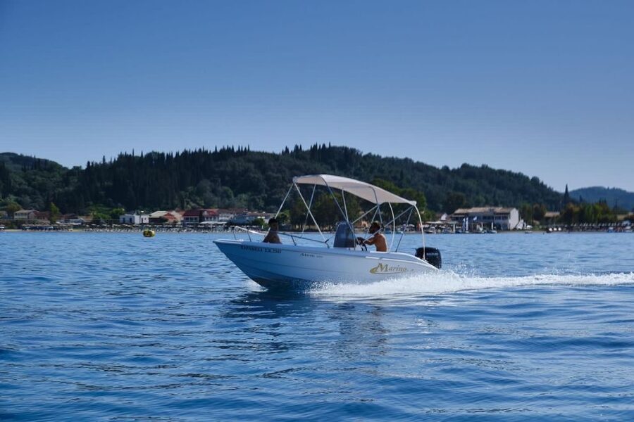 Corfu: Premium Boat Rental without Skipper - Sea turtles and dolphins: how to spot wildlife without stressing