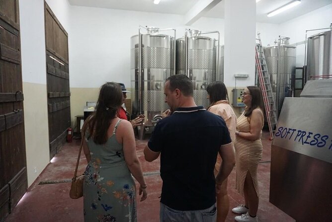 Cretan Wines & Olive oil tour - The treasures of Crete - Timing Tip: How to Keep the Day Fun Instead of Fatiguing