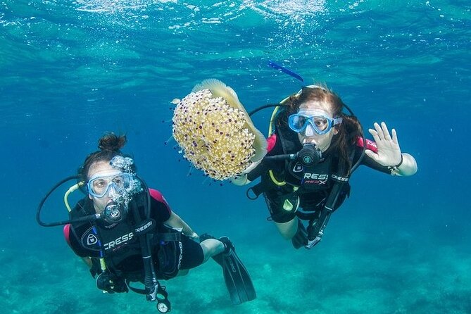 Crete-Chania: Snorkeling & Scuba Dive for Beginners by Boat - Key Highlights You Should Know Before You Go