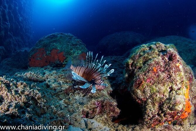 Crete-Chania: Snorkeling & Scuba Dive for Beginners by Boat - Price and Value: Is $181.02 Worth It?