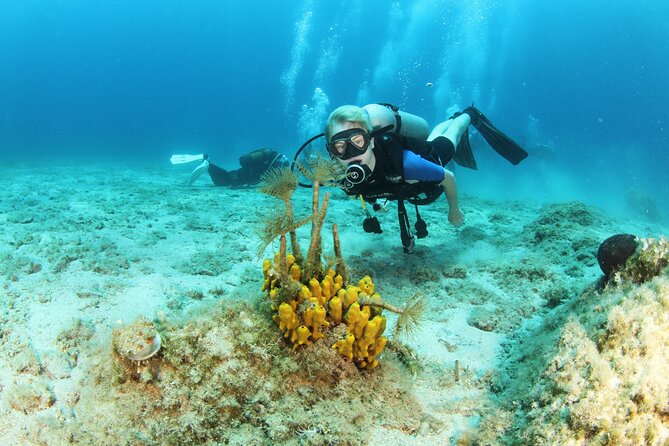 Crete-Chania: Snorkeling & Scuba Dive for Beginners by Boat - Blue Cave Snorkeling: The First Taste of Crete Underwater
