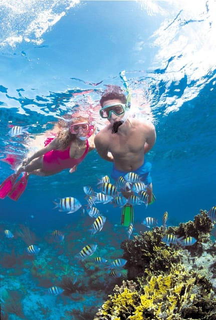 Crete: Coastline Snorkeling Cruise from Hersonissos Port - Saint George Beach: calm water, easy swimming, real relaxation