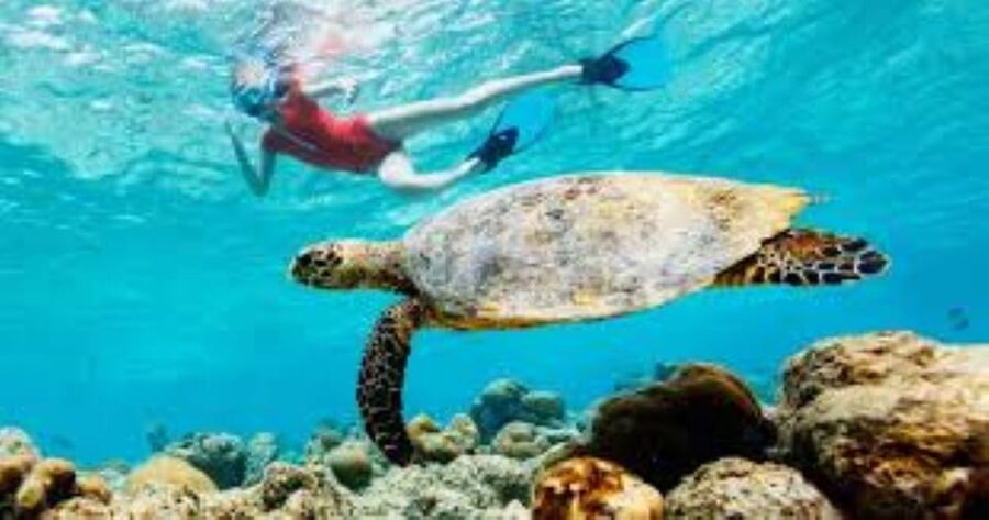 Crete: Coastline Snorkeling Cruise from Hersonissos Port - Staff, pace, and that easy island vibe