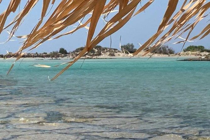 Crete: Elafonisi – 4 hours in the beach - Key things I’d circle before you go