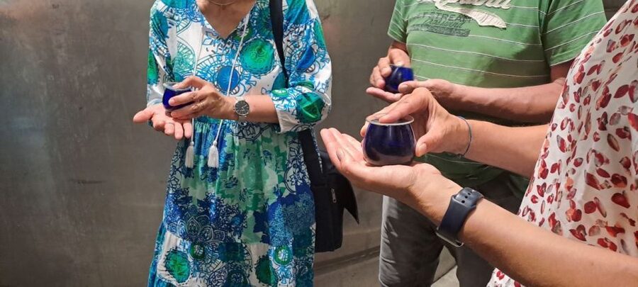 Crete: Full-Day Cretan Wines, Olive Oil, Raki and Food Tour - Olive grove and olive mill: where the tasting actually has meaning