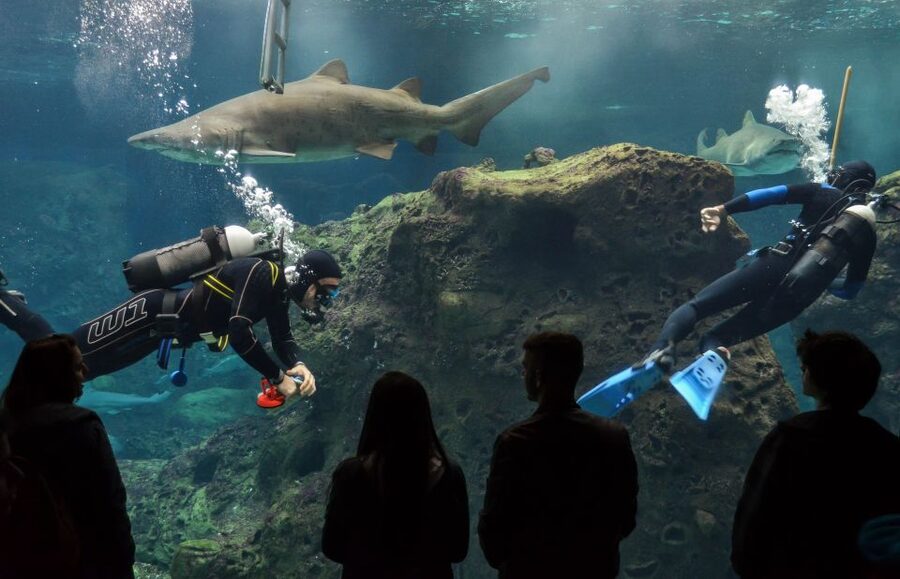 Crete: Heraklion Center, Local Market and Creta Aquarium - Key things I’d book this for