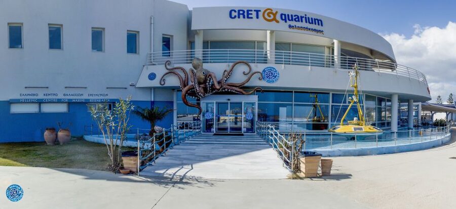 Crete: Heraklion Center, Local Market and Creta Aquarium - Getting picked up: where comfort meets real-world timing