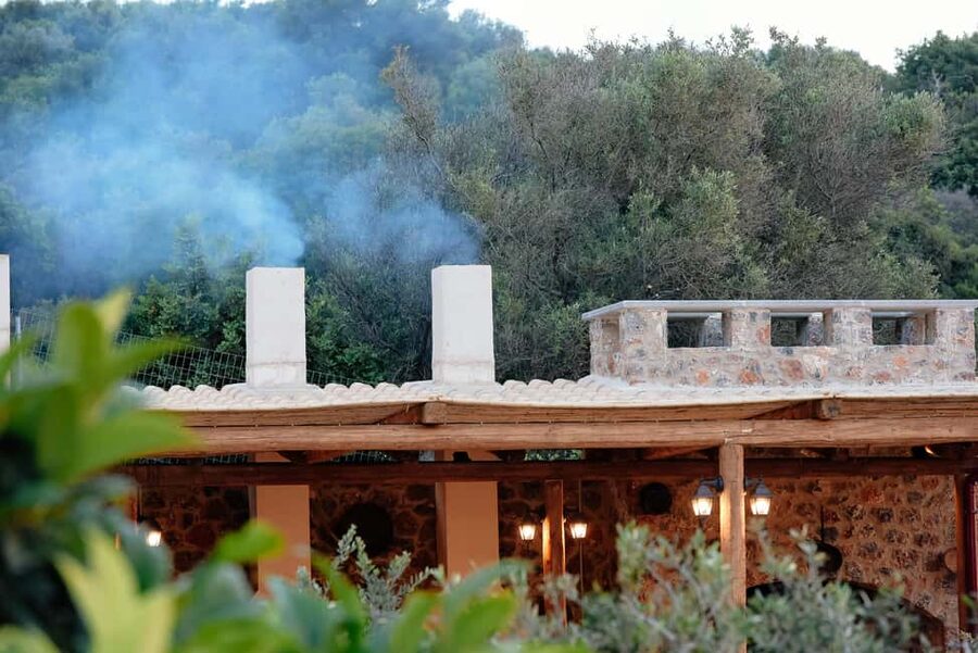 Crete: Knossos, Lasithi, Lasinthos and Olive Farm Combo Tour - Krasi: the quick village stop with the big tree story