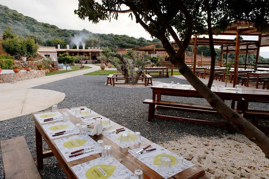 Crete: Knossos, Lasithi, Lasinthos and Olive Farm Combo Tour - A possible bonus: the Zeus cave walk if your departure includes it
