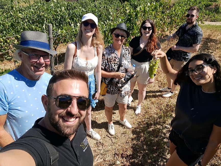 Crete: Knossos Palace, Winery & Olive Oil Tour with Lunch - Traditional Village Lunch: Dolmades, Seasonings, and Cretan Hospitality