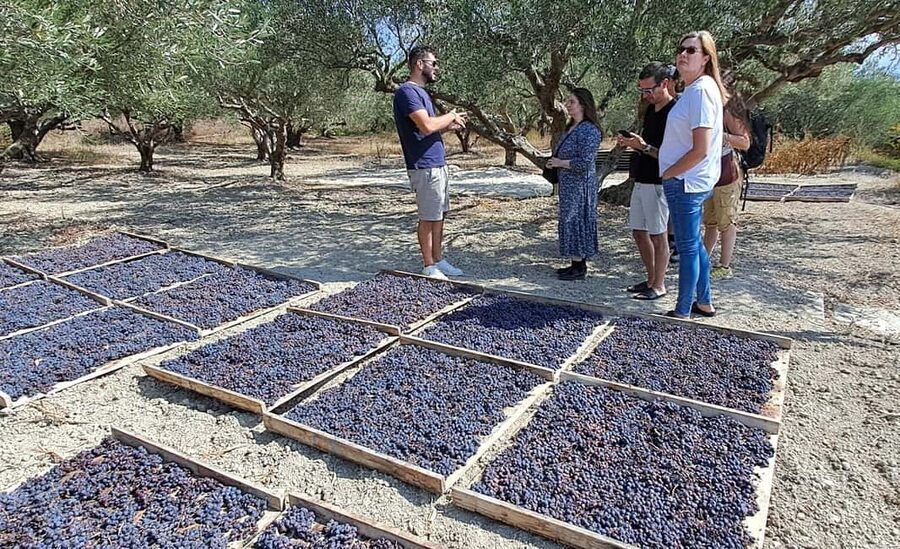 Crete: Knossos Palace, Winery & Olive Oil Tour with Lunch - Price and Logistics: Is $123 Good Value?