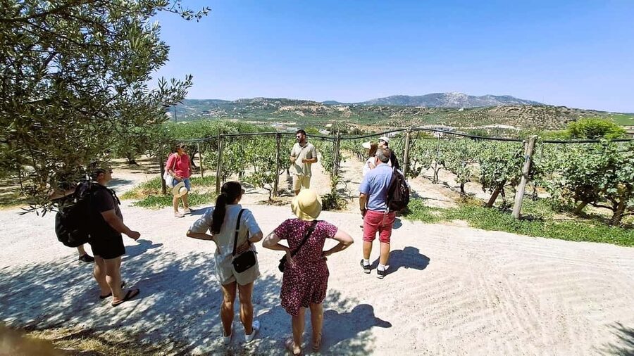Crete: Knossos Palace, Winery & Olive Oil Tour with Lunch - What You See at Knossos Palace (and What’s Missing)