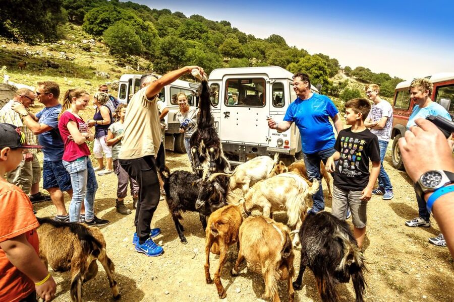 Crete: Land Rover Safari on Minoan Route - Key Points You’ll Care About