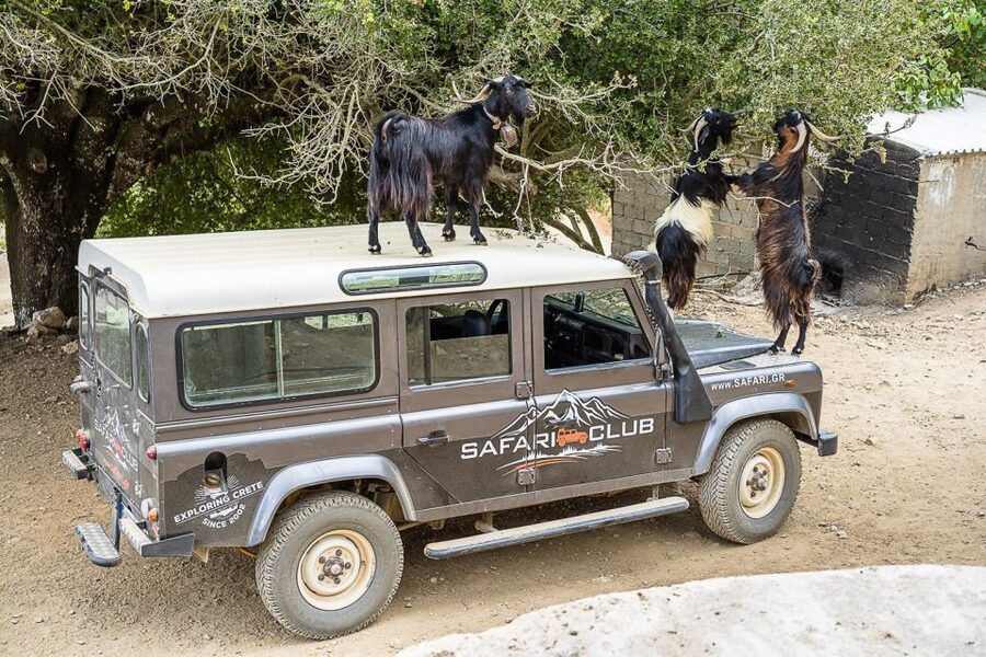 Crete: Land Rover Safari on Minoan Route - Why This Crete Safari Feels Different Than a Usual Tour