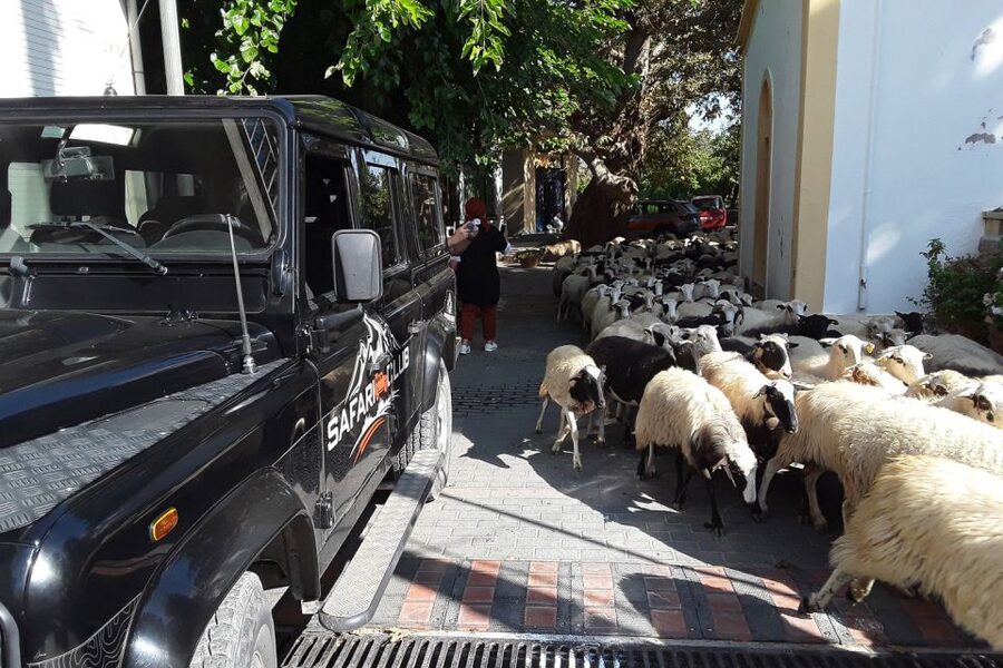 Crete: Land Rover Safari on Minoan Route - Kastamonitsa, Raki Tasting, and Mountain Village Life