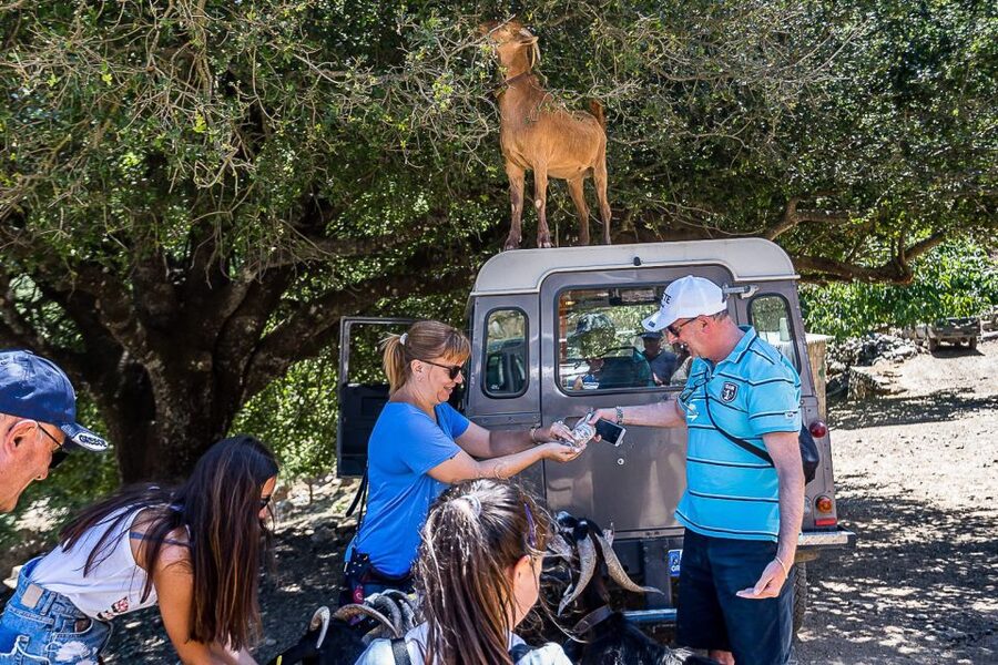 Crete: Land Rover Safari on Minoan Route - Shepherd Mitato and Cheese Moments That Feel Real