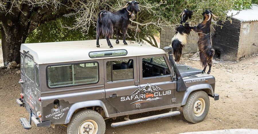 Crete: Land Rover Safari on Minoan Route - Price and Value: What You Really Get for $110