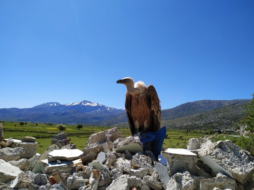 Crete: Lasithi Plateau and Cave of Zeus Off-Road Safari Tour - Lasithi Plateau and Psychro Cave: mythology with real uphill effort