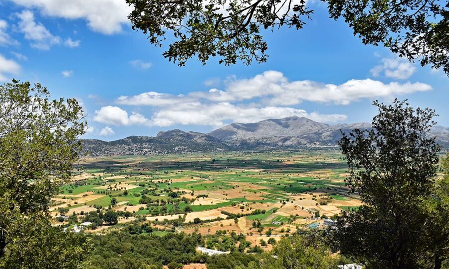 Crete: Lasithi Plateau & Knossos Palace Day Trip - Avdou olive oil factory: process tour plus tasting you can actually use