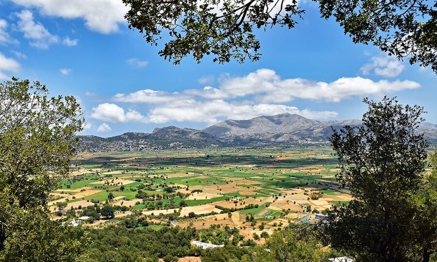 Crete: Lasithi Plateau & Knossos Palace Day Trip - Krasi plane tree and village springs: a gentle start