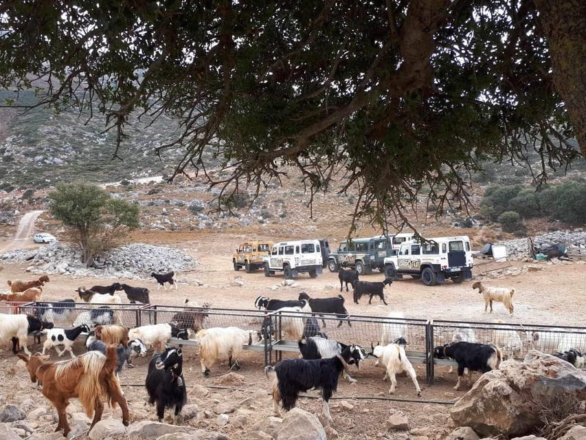 Crete: Lasithi Plateau Zeus Cave Guided Jeep Safari Tour - Lasithi Plateau at 1,150 Meters, Off-Road Country