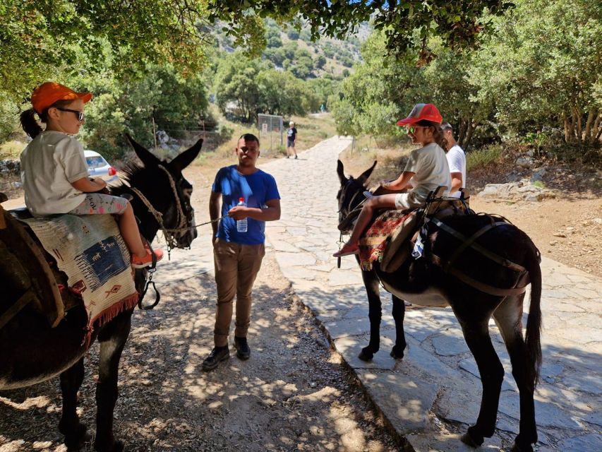 Crete: Lasithi Plateau Zeus Cave Guided Jeep Safari Tour - Zeus Cave Visit, Ticket Rules and the Closure Window
