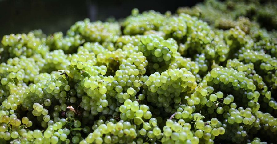 Crete: Olive, Wine, & Raki on a Flavorful Culinary Journey - Should You Book This Cretan Olive, Wine, and Raki Tour?