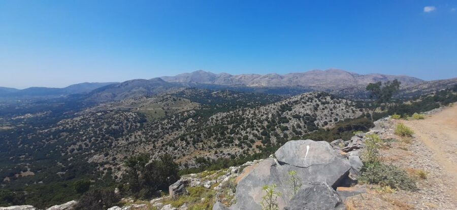 Crete: Olive, Wine, & Raki on a Flavorful Culinary Journey - Archanes Winery: Indigenous Grapes, Tasting You Can Follow