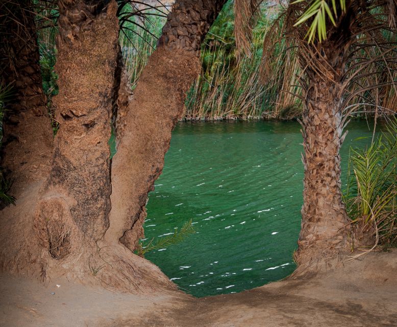 Crete: Preveli Tropical Beach and Palm Forest - Why Preveli feels different from most Crete beaches