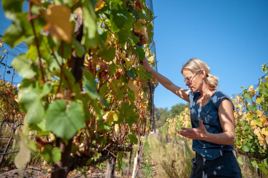 Crete Private Tour: The Secrets of Wine, Olives & Honey - Starting in Rethimno: private 4x4 comfort and a real-world pace