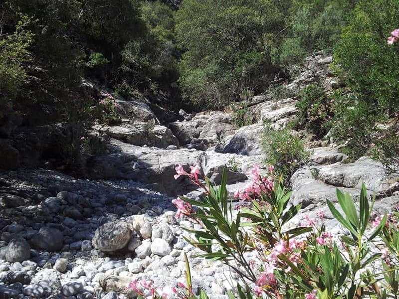 Crete: Richtis Waterfall Full-Day Tour with Olive Tasting - Footwear, swimwear, and the small rules that make the day smoother