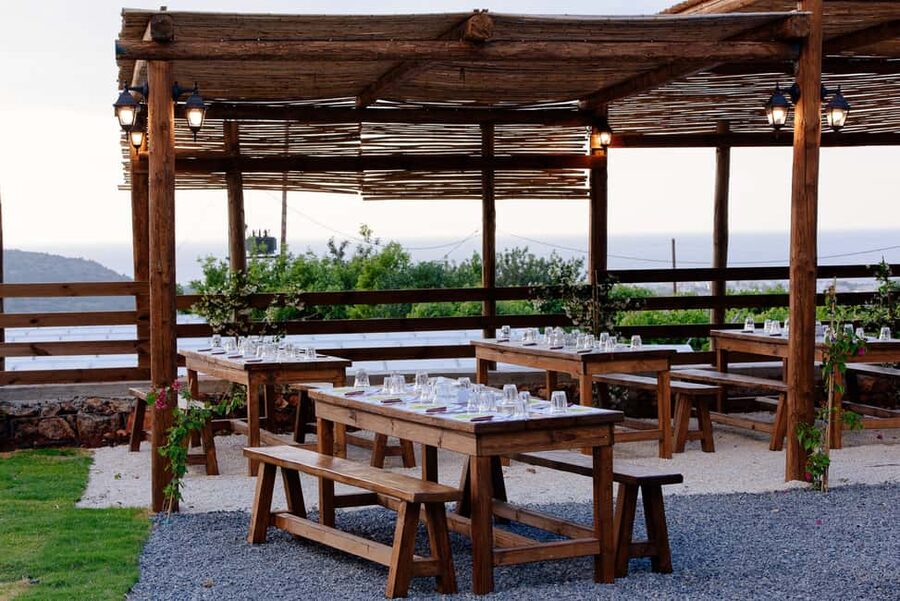 Crete: Road-trip to Lasithi Plateau & Olive Mill Farm - Guides and drivers: why this tour feels more than just transport