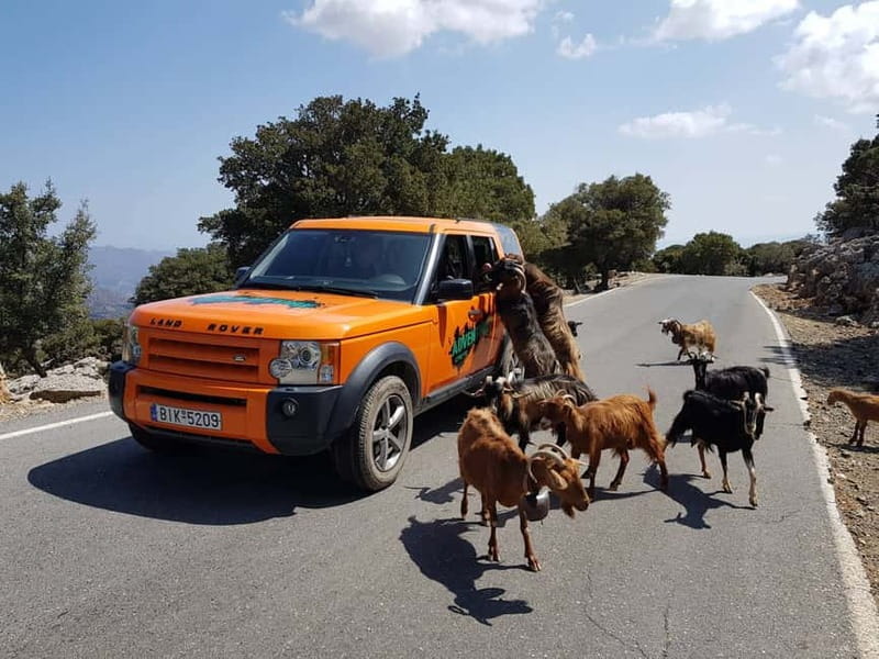 Crete: Sarakina Gorge, Forests, and South Coast Safari - Hidden Stops Before the Forest: Why This Tour Spreads Time Around