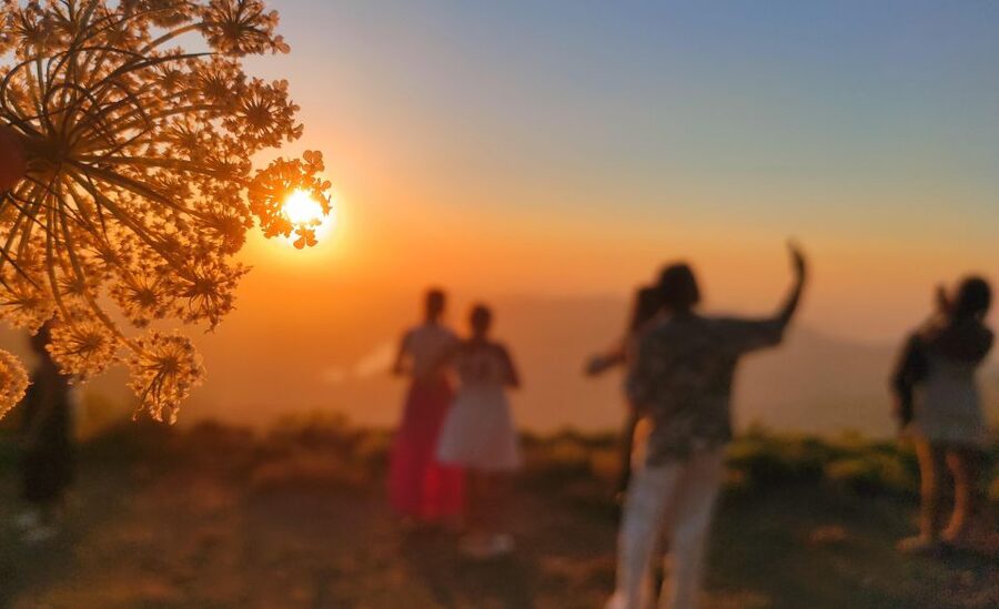 Crete: Sunset Safari - Platanus tree stop and Malia dinner: how the day wraps up
