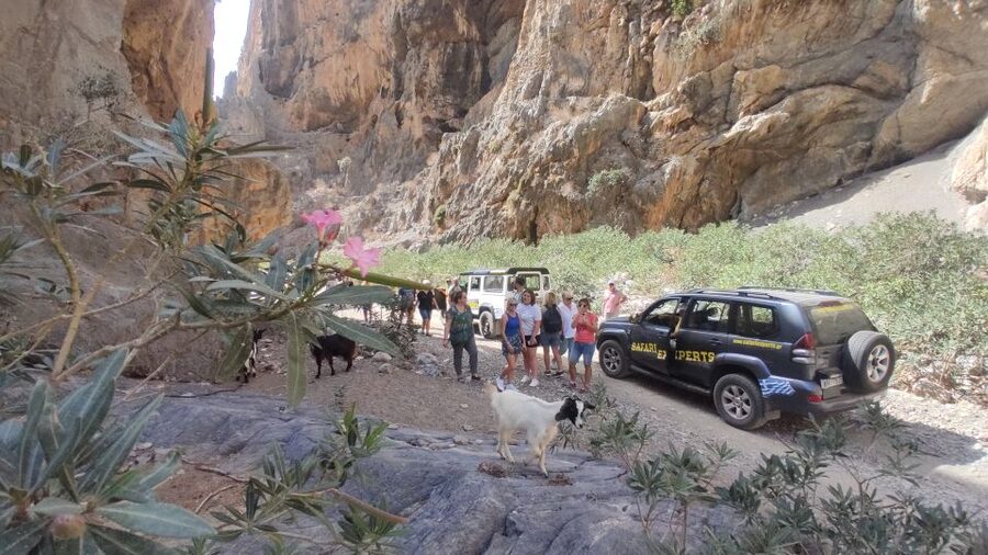 Crete: Trypiti Beach Off-Road South Tour w/ Lunch & Wine - Gortyna Photo Stop: Ancient Crete Without the Pressure