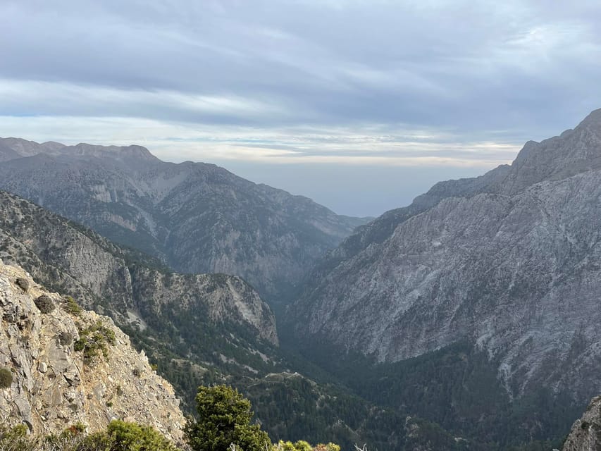 Crete: White Mountains Preserve Day Tour - The agricultural valley vibe: oranges, avocado trees, and everyday Crete