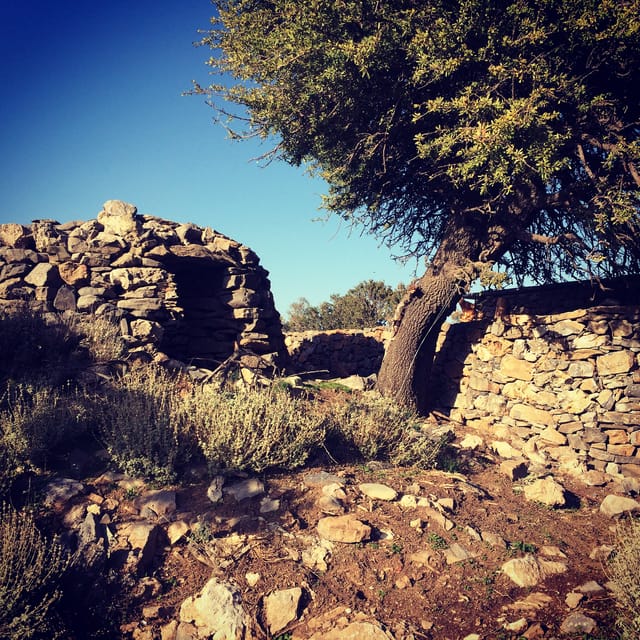 Crete: White Mountains Preserve Day Tour - The 4x4 ride: fun, scenic, and worth packing for