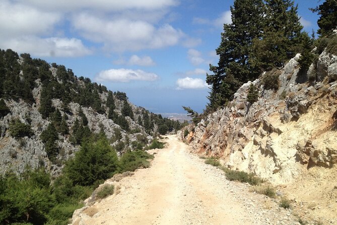 Crete White Mountains Safari Including Lunch - Your 4x4 and driver-guide: what comfort is like in practice