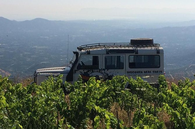 Crete White Mountains Safari Including Lunch - Morning valley break: oranges, avocados, and mountain tea