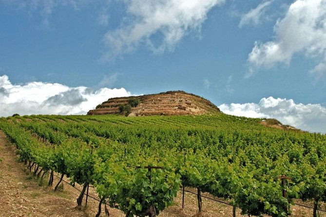 Crete Wine and Olive Oil Tour - A Half-Day Built Around Chania Countryside Flavors