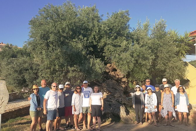Crete Wine and Olive Oil Tour - Guide Style Matters, and This Tour Leans on It