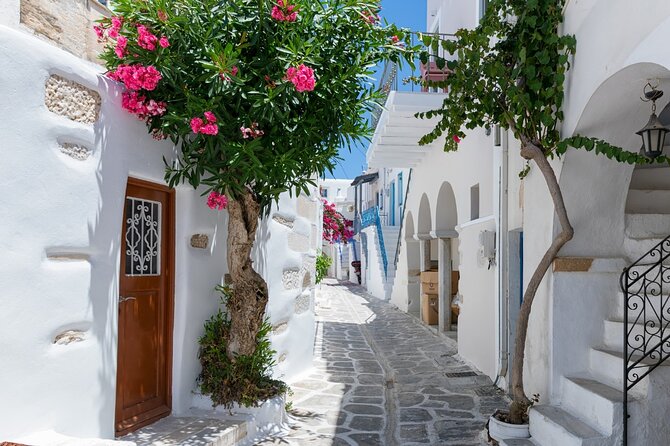 Day Tour to Santorini Island from Heraklion Crete - Oia: your timed window for the postcard views