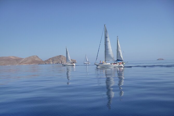 Dia island : Small Group Sailing Trip to Dia Island with Lunch - The sail north: what the 7 nautical miles can reveal