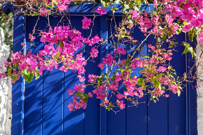 Discover Mykonos in 4 Hours: Beaches, Villages and Town - Quick Takes Before You Go