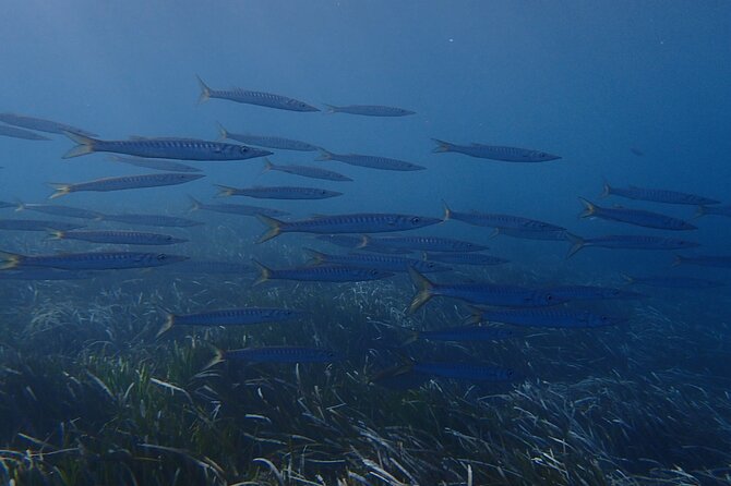 Discover Scuba Diving in Santorini - Arriving at Navy’s Waterworld in Kamari